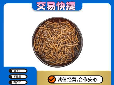和田市民丰县高价回收散虫草